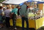 13 июля впервые в Истринском городском округе состоялся ЧЕХОВ-ФЕСТ «Радости дачной жизни», посвящённый памяти великого русского писателя А.П. Чехова.