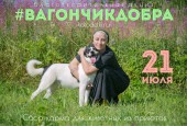 21 июля 11:00 до 15:00 на Воскресенской площадистартует акция по сбору корма для животных из приютов