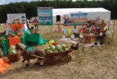 Выставка сельхозтехники и продукции региональных фермеров пройдет в Подмосковье