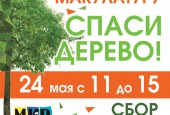 Сдай Макулатуру и спаси дерево! Сдать макулатуру можно 24 мая с 11 до 15 на площади у Молодежного центра