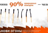 Увидел пожар – позвони 112!