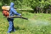 Участки борьбы с борщевиком Сосновского доступны на публичном портале.