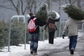 Елочные базары в Истринском районе